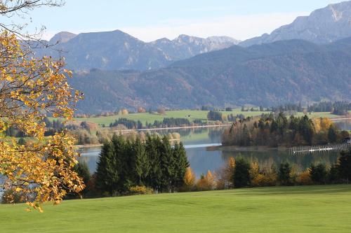 forggenseeherbst