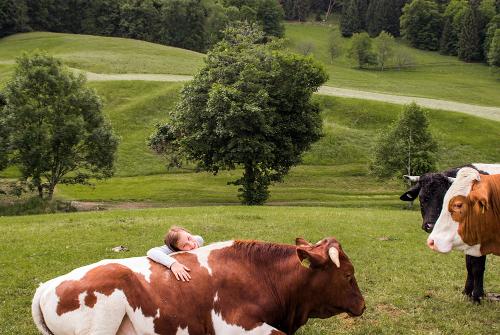 Landwirtschaft
