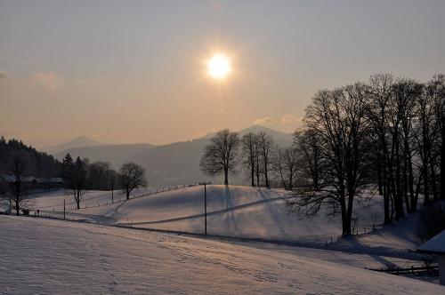 Winterausblick
