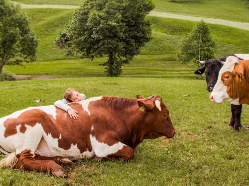 Landwirtschaft Landwirtschaft