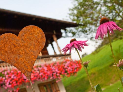 Impressionen Impressionen