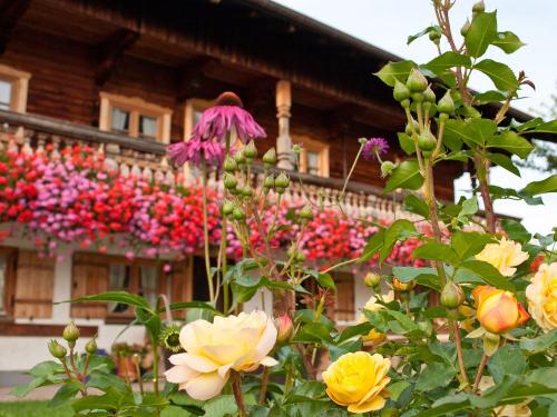 Impressionen Impressionen