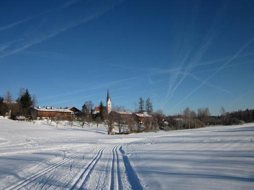 Winterspuren