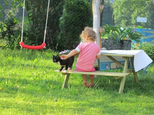 Katze streicheln