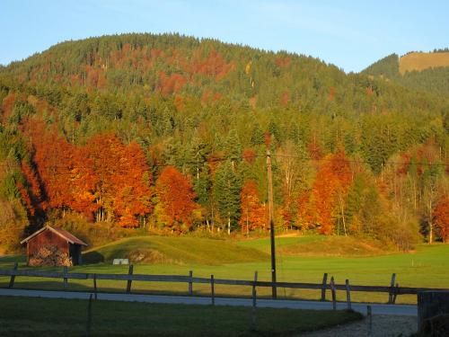 farbiger Herbsttag