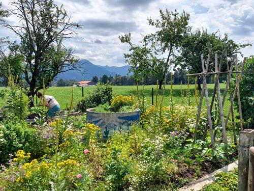 Gartenfreude Gartenfreude