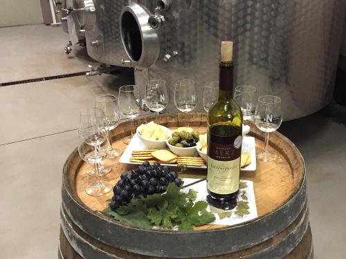 Weinprobe im Weinkeller