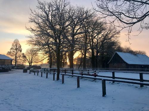 winter2019_2020