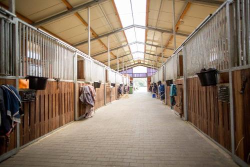 pensionsstallstallgasse2