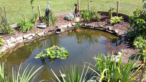 Unser Gartenteich