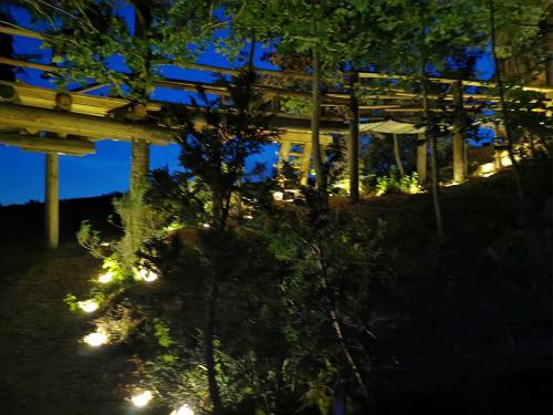 Baumhausprojekt XXL bei Nacht