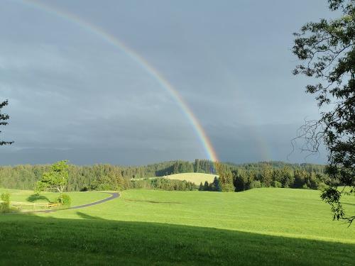 Regenbogen am Hof