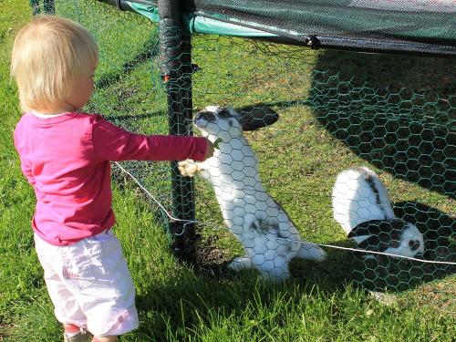 Hoppel und Poppel