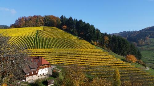Winzerhof im Herbst