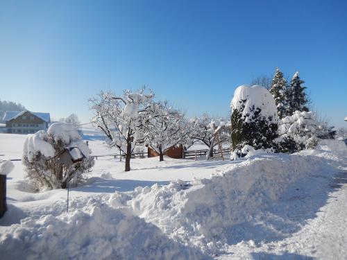 Auch im Winter macht Urlaub richtig viel Spaß
