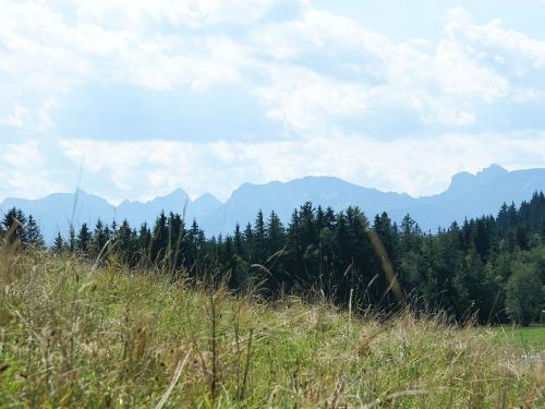 Allgäuer Bergpanorama