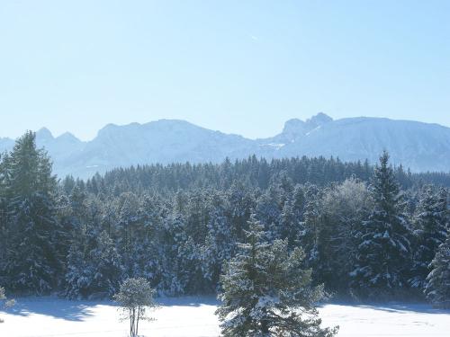 Unser Panoramablick im Winter