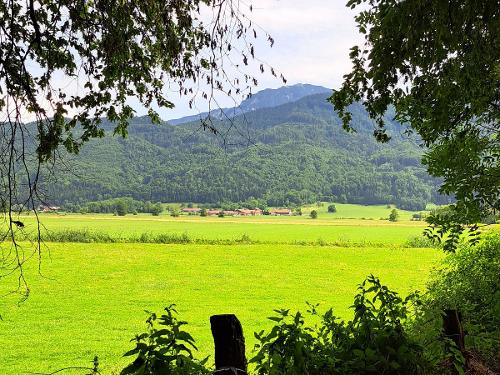 20230723_150300Blich vom Moor auf Ortsteil Bayern 20230723_150300Blich vom Moor auf Ortsteil Bayern