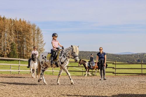 Reitunterricht auf dem Reitplatz