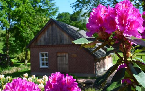 Backhaus