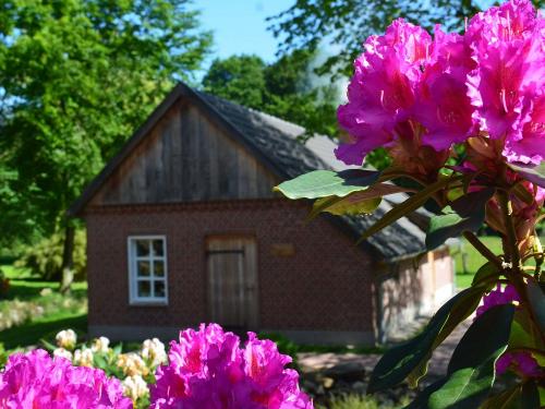 Backhaus