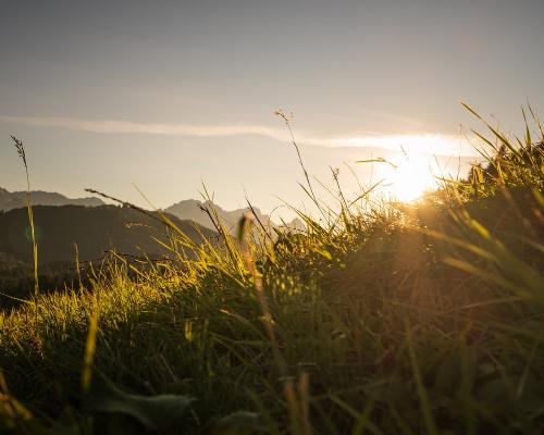 Da kumt die Sun Bild von Paul Wolf