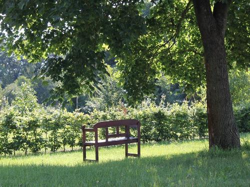 garten3