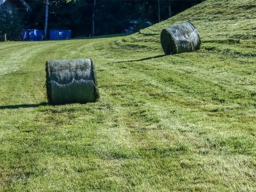 bei der Ernte im Sommer