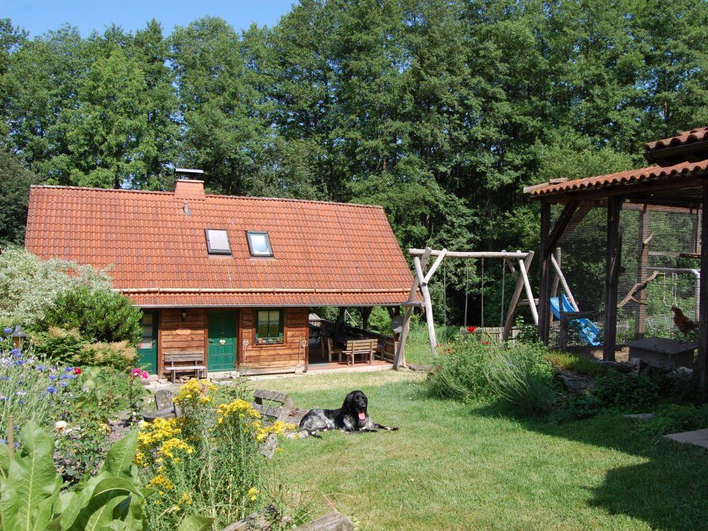 Enno bewacht das Ferienhaus