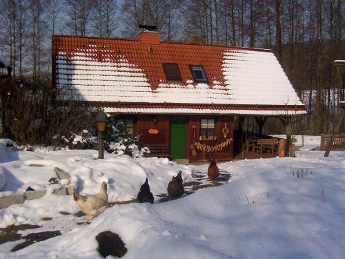 Ferienhaus im Winter