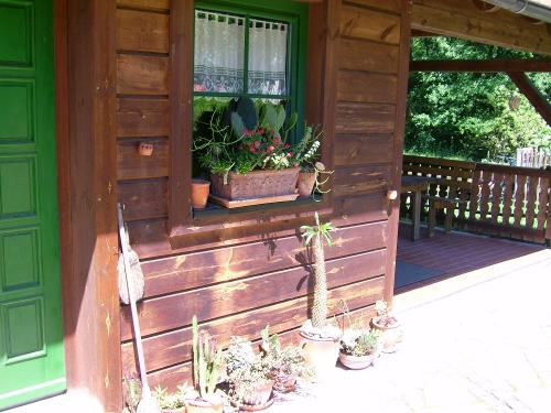 Vor dem Haus und überdachte Terrasse mit Blick auf den Garten