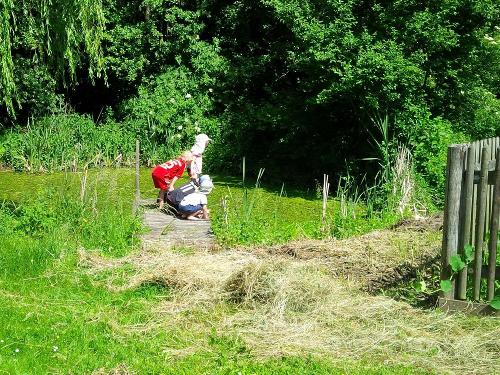 Kinder bestaunen Frösche am Teich