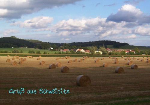Entfernter Blick auf Schweinitz