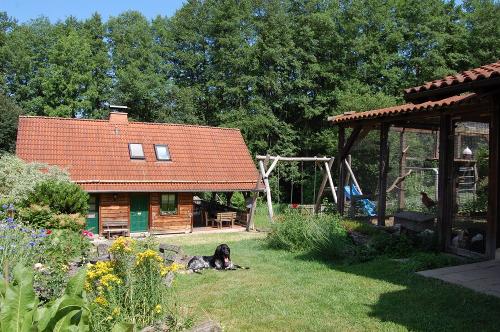Enno bewacht das Ferienhaus