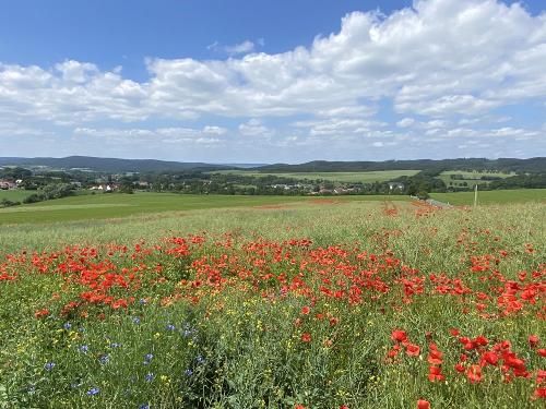 Oppurg mit Schloss (5km)
