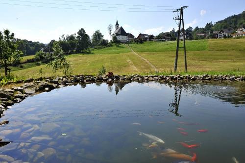 Unser Teich