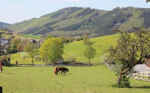 Aussichten im "Land der 1000 Berge"