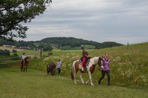 kleinerimg_2389