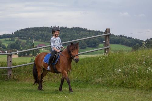 kleinerimg_2381