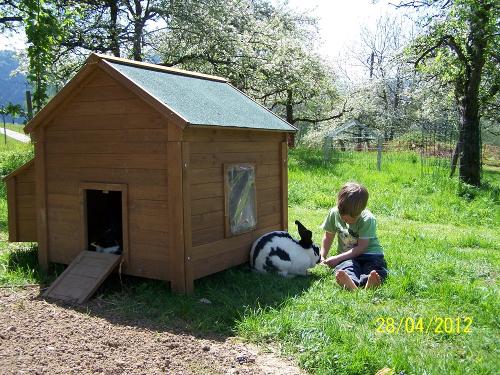 Kaninchenfuetterung Kaninchenfuetterung