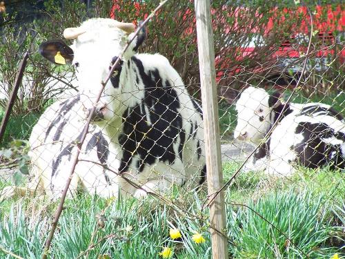 Rasenpflegerin mit Tochter Hannah Rasenpflegerin mit Tochter Hannah