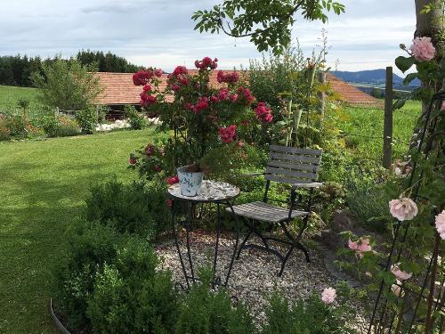 Entspannen im Garten