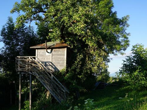 das Baumhaus