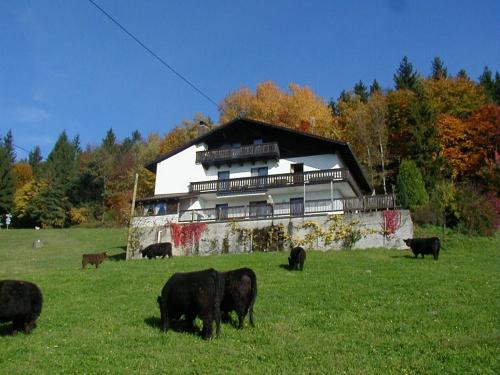 Ferienhaus Fernblick