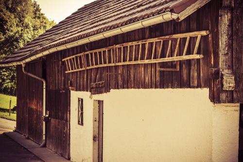 Schuppen