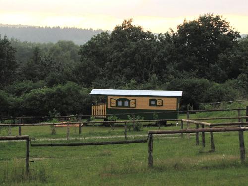 Zirkuswagen mitten in der Natur