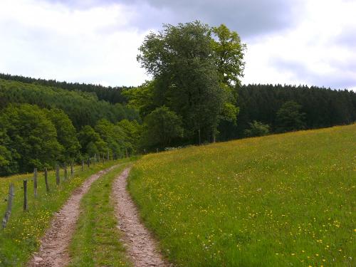 Umgebung