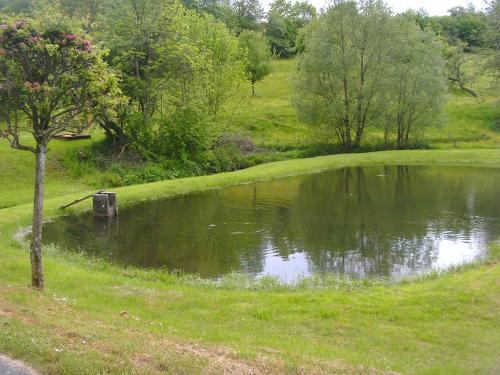 Teich