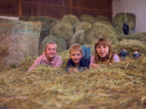 Spielen im Heu