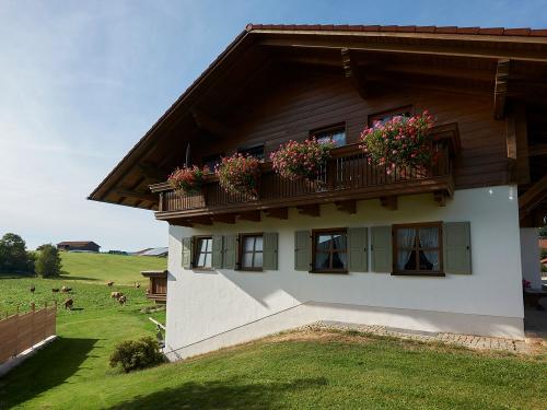 Kühe hinterm Ferienhaus